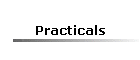 Practicals